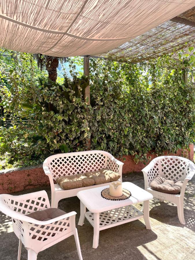 Cozy Little House Kotor Apartment ภายนอก รูปภาพ